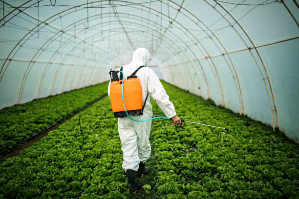 Best Pest Control Treatment  in Martinsville, NJ