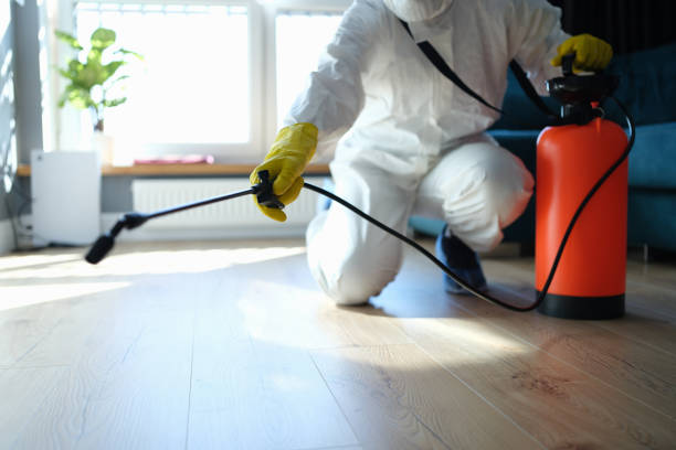 Best Termite Control Services  in Martinsville, NJ