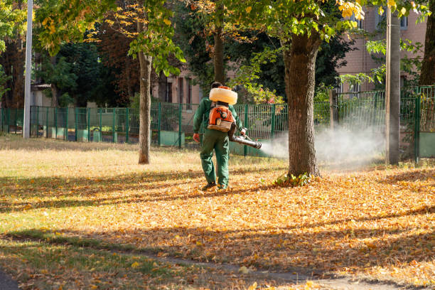 Flea Control Services in Martinsville, NJ