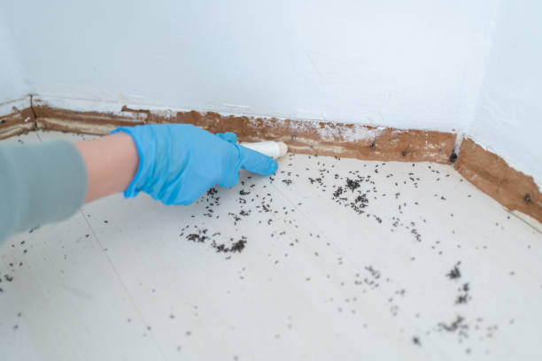 Best Pest Control for Homes  in Martinsville, NJ